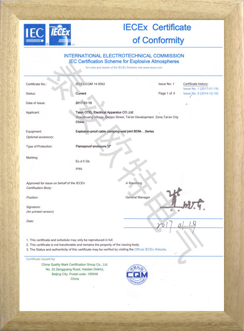 BDM格兰IEC认证证书